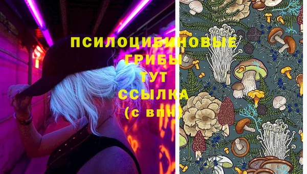 сатива Алексин