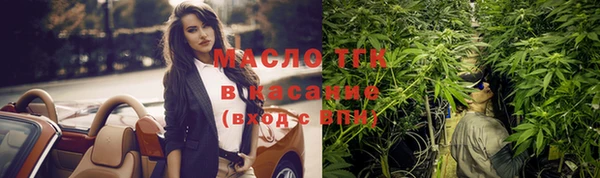 ECSTASY Алзамай